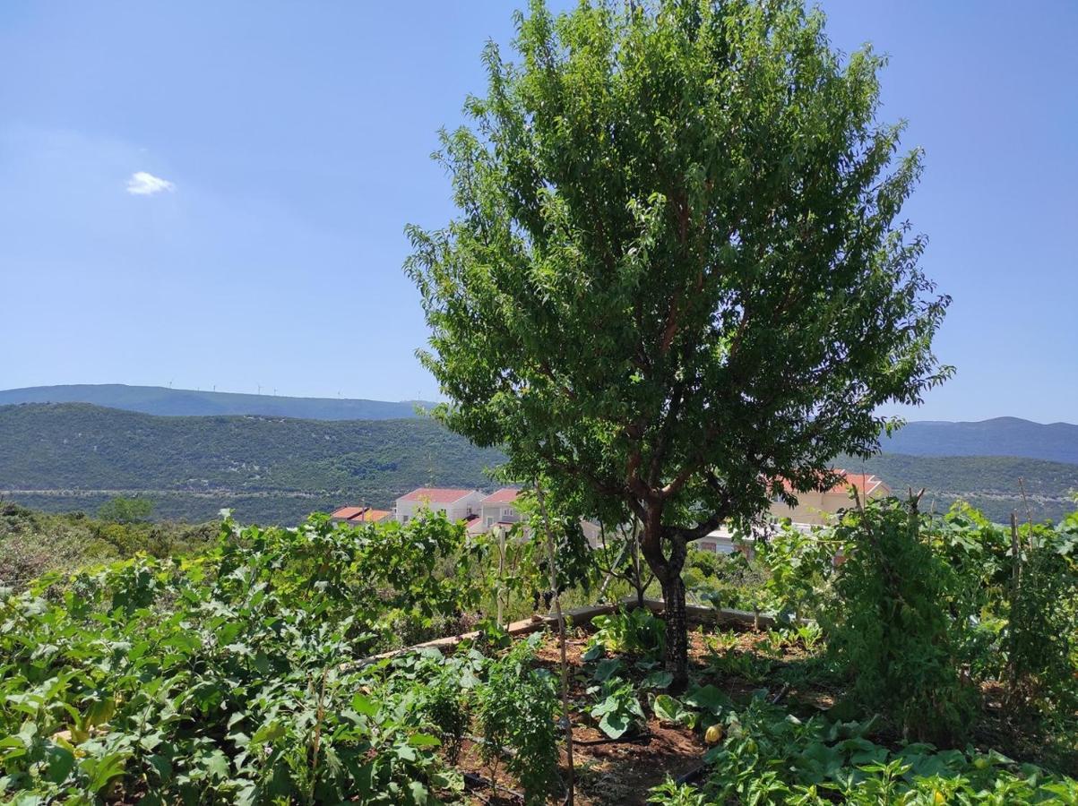 One Bedroom Apartment Gogo With Private Parking Neum Eksteriør billede